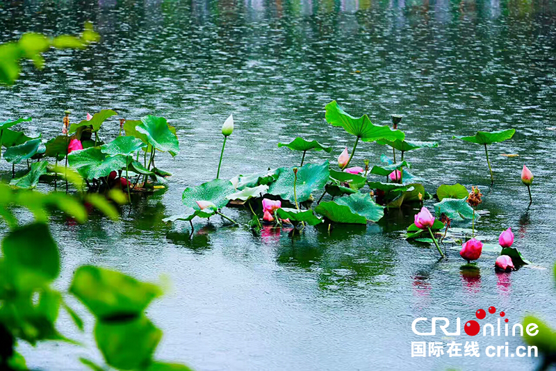 图片默认标题_fororder_0710_32