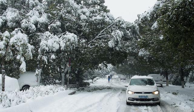 湖北雨雪天气致153.46万人受灾 因灾死亡2人