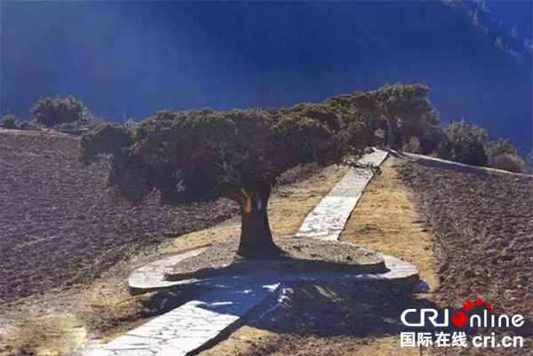 图片默认标题_fororder_稻城县拉木格村