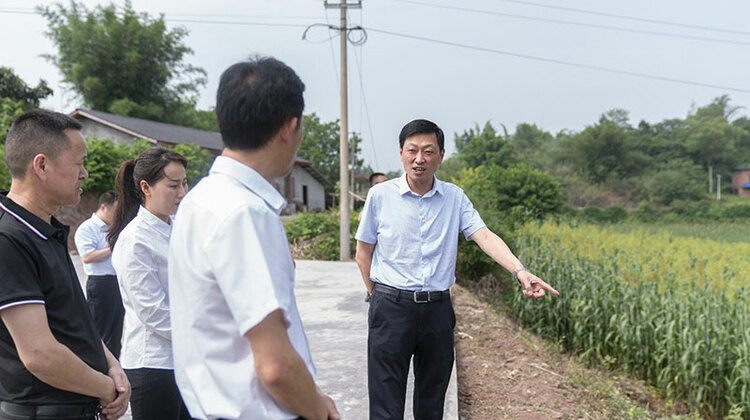 自贡市富顺县委书记杨斌调研农业农村、防汛减灾等工作_fororder_调研现场