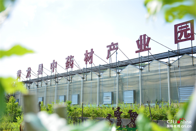 (先不发布)向黄龙“绿色”出发!感受生态立县“黄龙答卷” (先不发布)向黄龙“绿色”出发!感受生态立县“黄龙答卷”_fororder_WeChat 圖片_20220628065936