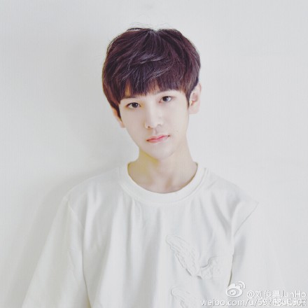 TF家族新成员刘俊昊不当练习生被疑背景强硬