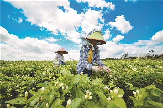 勇担重任敢作为 立足精准下功夫