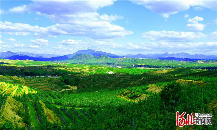 太行风|河北阜平大道村:荒山变成金山银山