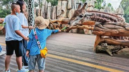 云南野生动物园迎来火热暑假游