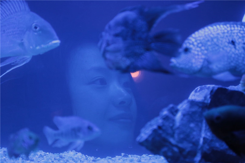 贾樟柯监制《海上浮城》获圣丹斯电影节"集体表演奖"