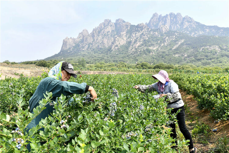 跳出历史周期率的新时代答案——习近平总书记引领百年大党推进自我革命纪实