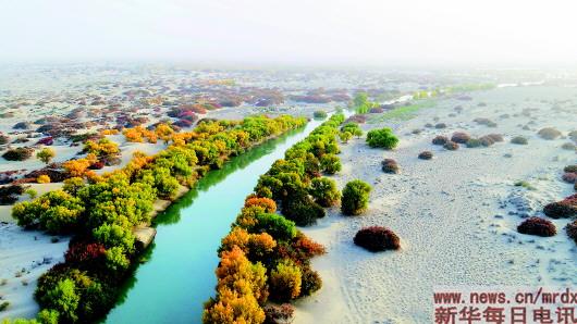 新疆：又闻大河来水声 流域综合治理“复活”塔里木河