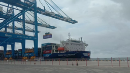 广西北部湾港钦州自动化集装箱码头正式启用