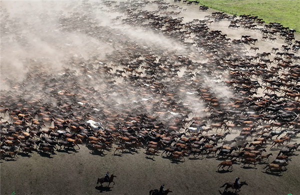 策马相约 第三十届中国新疆伊犁天马国际旅游节开幕 策马相约 第三十届中国新疆伊犁天马国际旅游节开幕