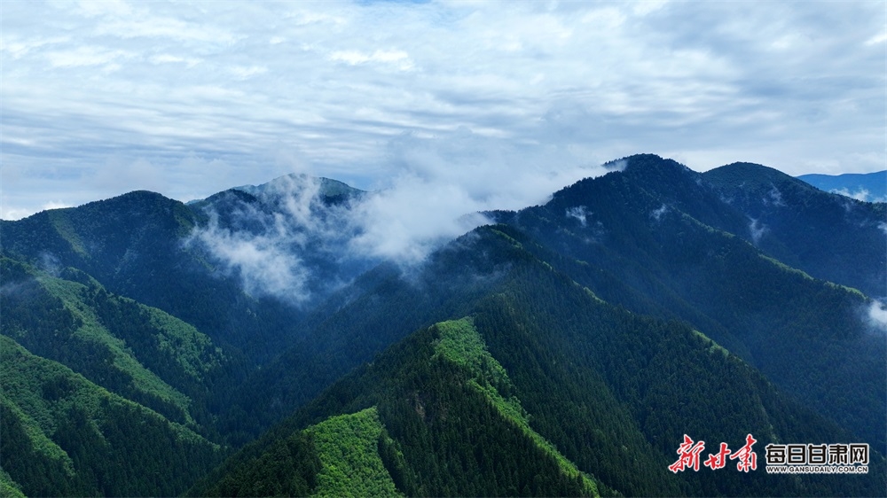 【焦点图】兰州：群山逶迤 云海苍茫 雨后兴隆山如仙境_fororder_3