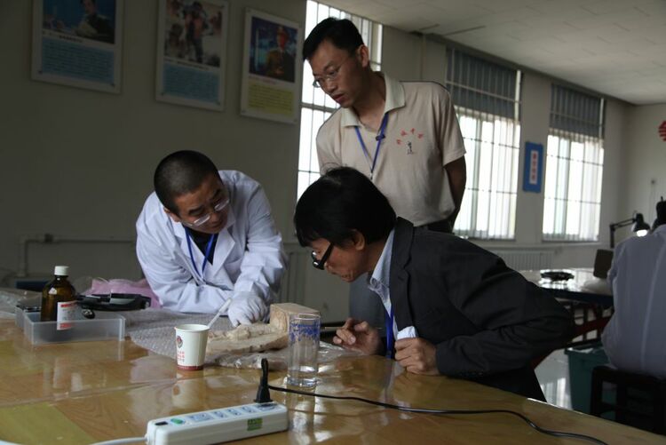 河北:邺城遗址北吴庄出土佛造像修复完成千余件