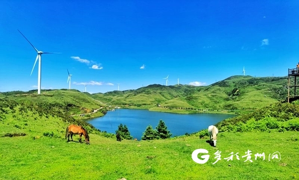 携程发布《跨省游恢复半月人气报告》 贵州人气全国第三