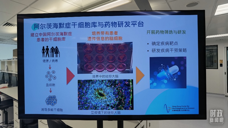 时政新闻眼丨习近平视察香港,传递哪些重要信息?