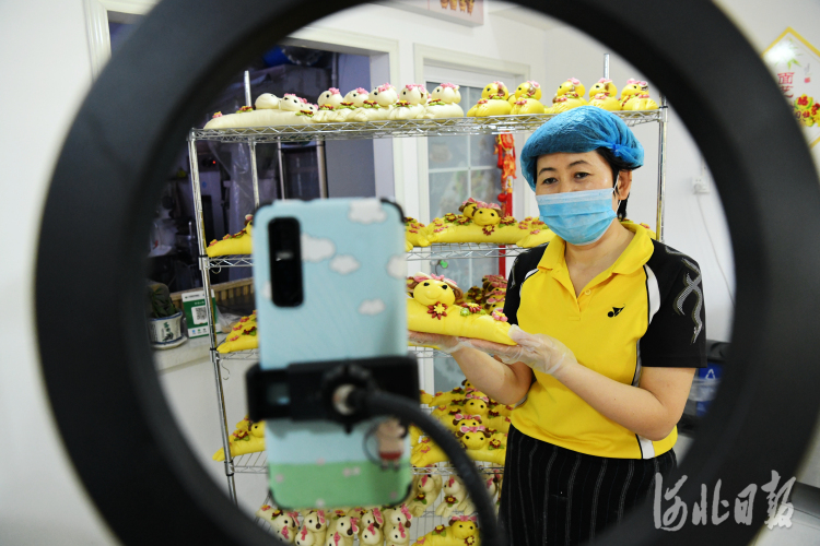 按图索冀|六月“送羊”忙