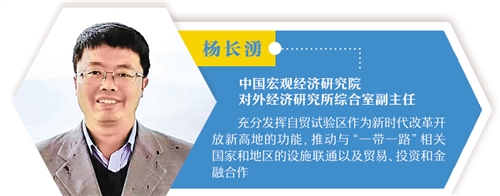 看自贸区“新雁阵”如何展翅高飞