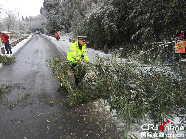 图片默认标题_fororder_清楚路面障碍物（乐山交警支队-供图）