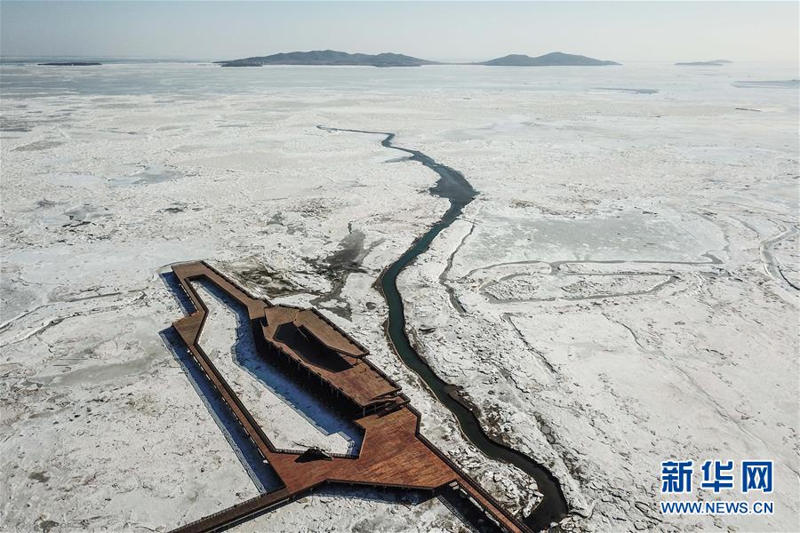 辽东湾近一半面积被冰封(组图)
