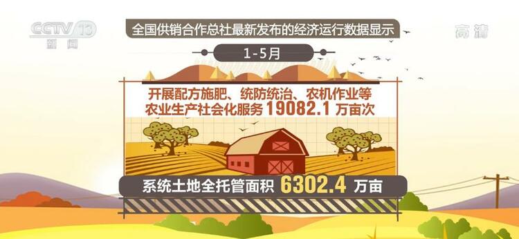 前五个月农产品销售额达9918.5亿元 同比增长27.7%