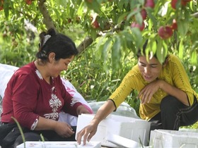 Petani Xinjiang Lonjak Pendapatan Menerusi Pic