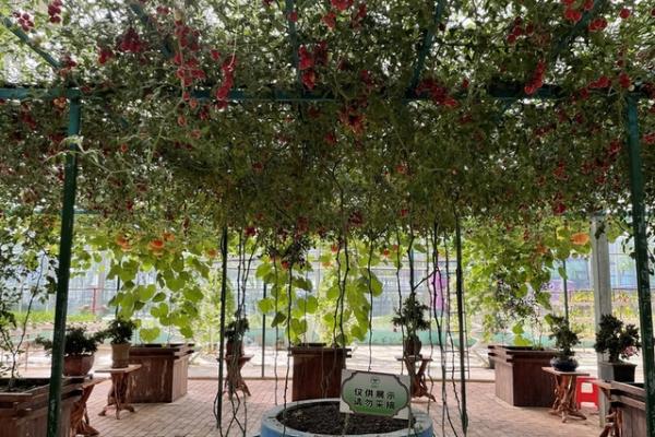 赣南苏区振兴的吉安探索:吉州窑打造宋潮产业,成发展新动力