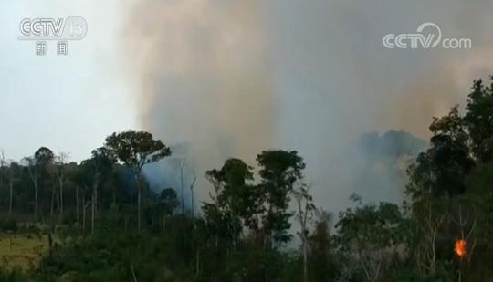 亚马孙雨林大火未见明显缓解 巴西社会思考如何平衡环保与发展