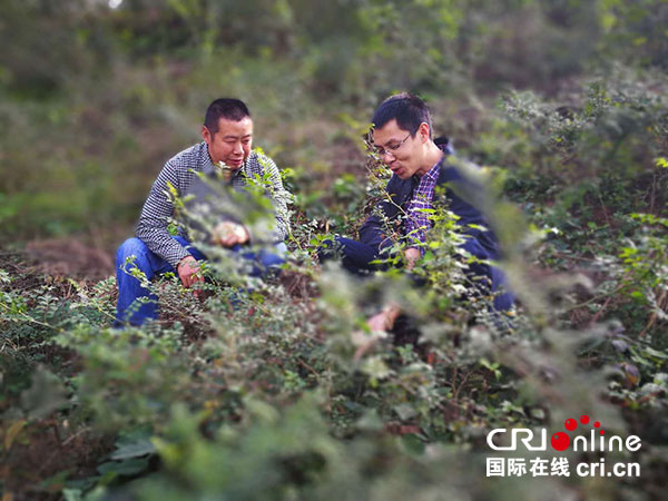 图片默认标题_fororder_2