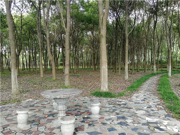 上海人均公园绿地面积8.2平米 将推出第二批开放式休闲林地