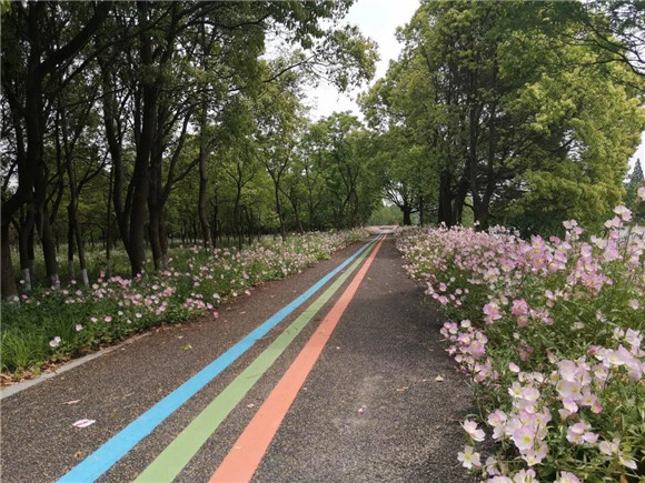 上海人均公园绿地面积8.2平米 将推出第二批开放式休闲林地