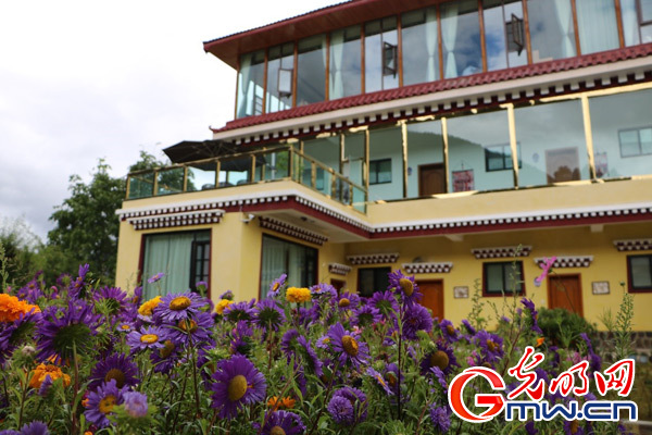 【新时代·边疆行】西藏米林：特色产业是脱贫致富的“钱袋子