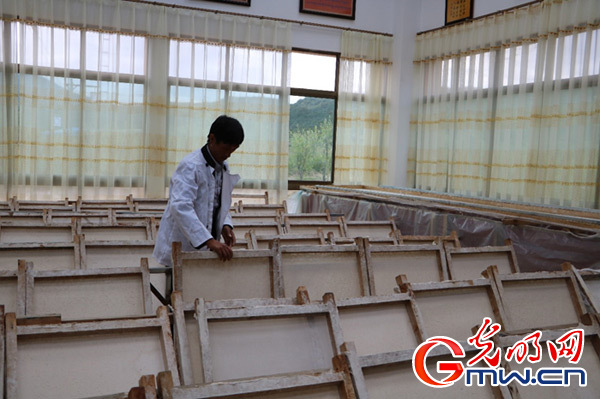 【新时代·边疆行】西藏米林：特色产业是脱贫致富的“钱袋子