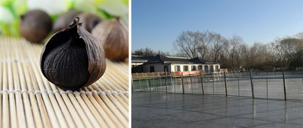 1月30日 火曜日 1月30日 火曜日