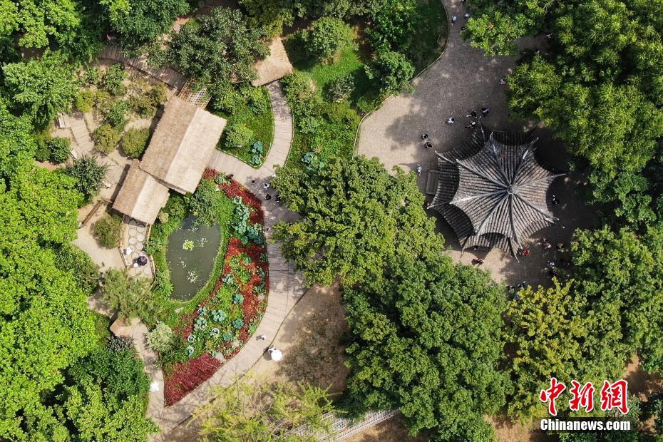 图片默认标题_fororder_20190829-2-5