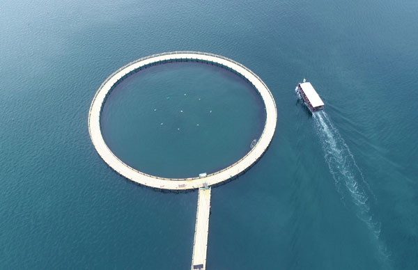 图片默认标题_fororder_1680404294