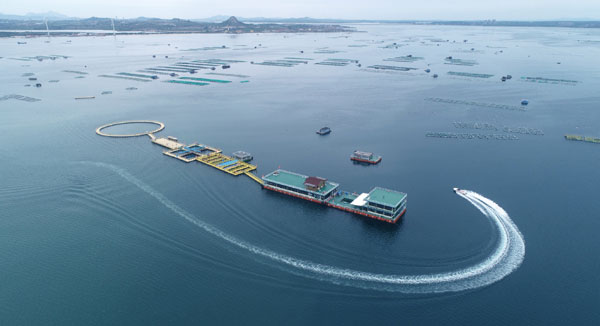 图片默认标题_fororder_1579886421