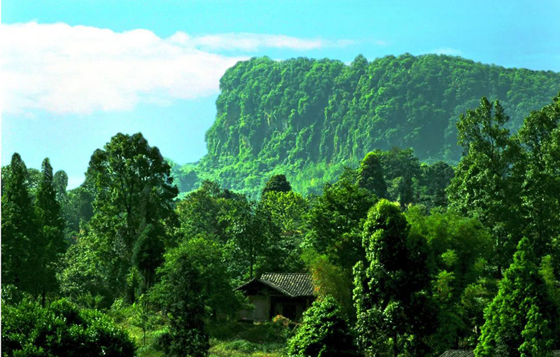 好山好水好凉快｜眉山丹棱县 避暑好去处_fororder_老峨山秀丽风景-供图-丹棱县委宣传部（1）