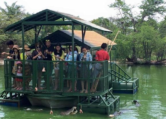 泰国芭提雅：游客在铁皮船上钓鳄鱼