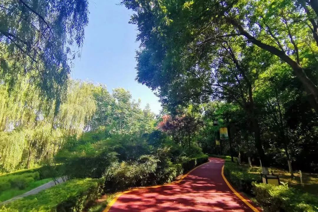 西安市未央区:倾情为民 标注首善区民生刻度_fororder_微信图片_20220802153959