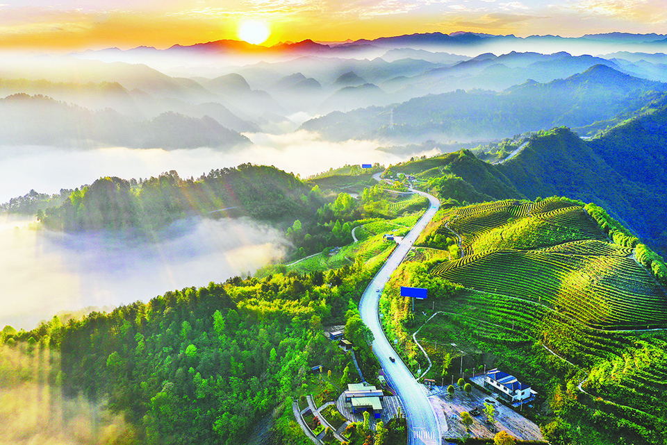 重庆：生态产业路助力乡村振兴