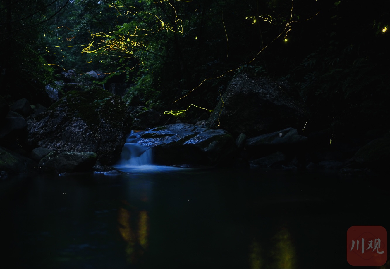 （转载）流萤点点 灿若繁星 探寻大邑山中萤火虫秘境