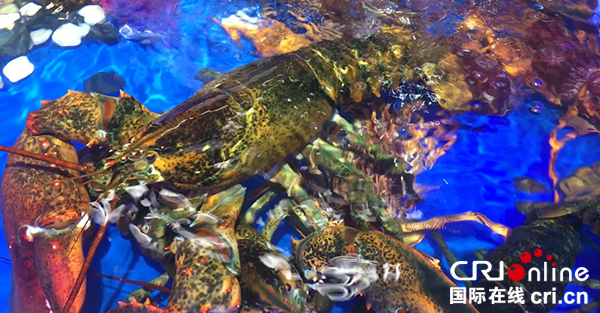 图片默认标题_fororder_图片3