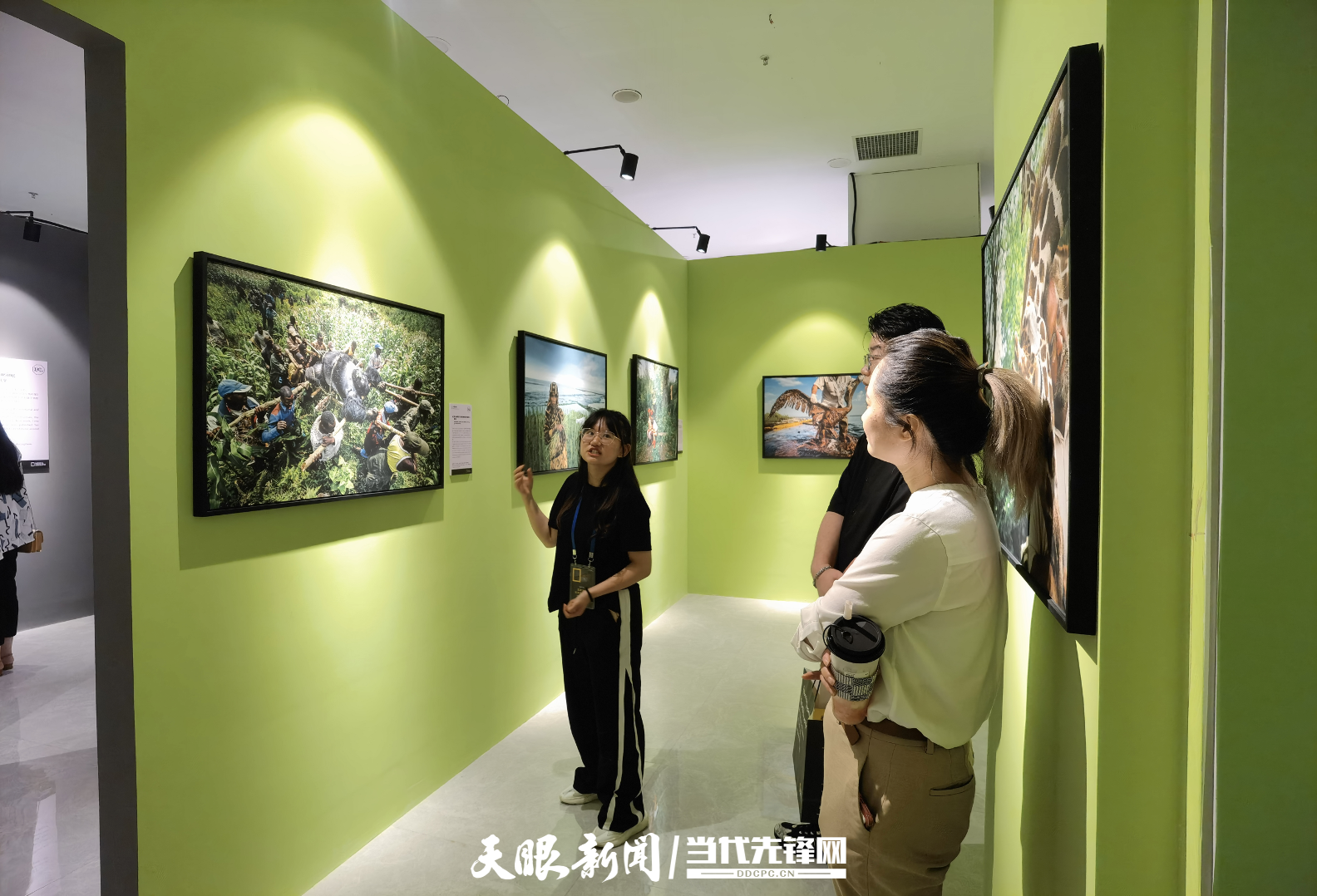 (中首)在贵阳看世界 国家地理经典影像大展登陆贵州!