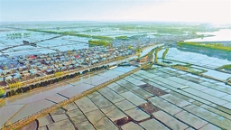 绥化市北林区：六河相伴 好水润田