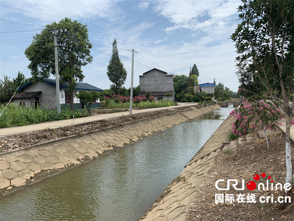 生态南县：秀美新安村