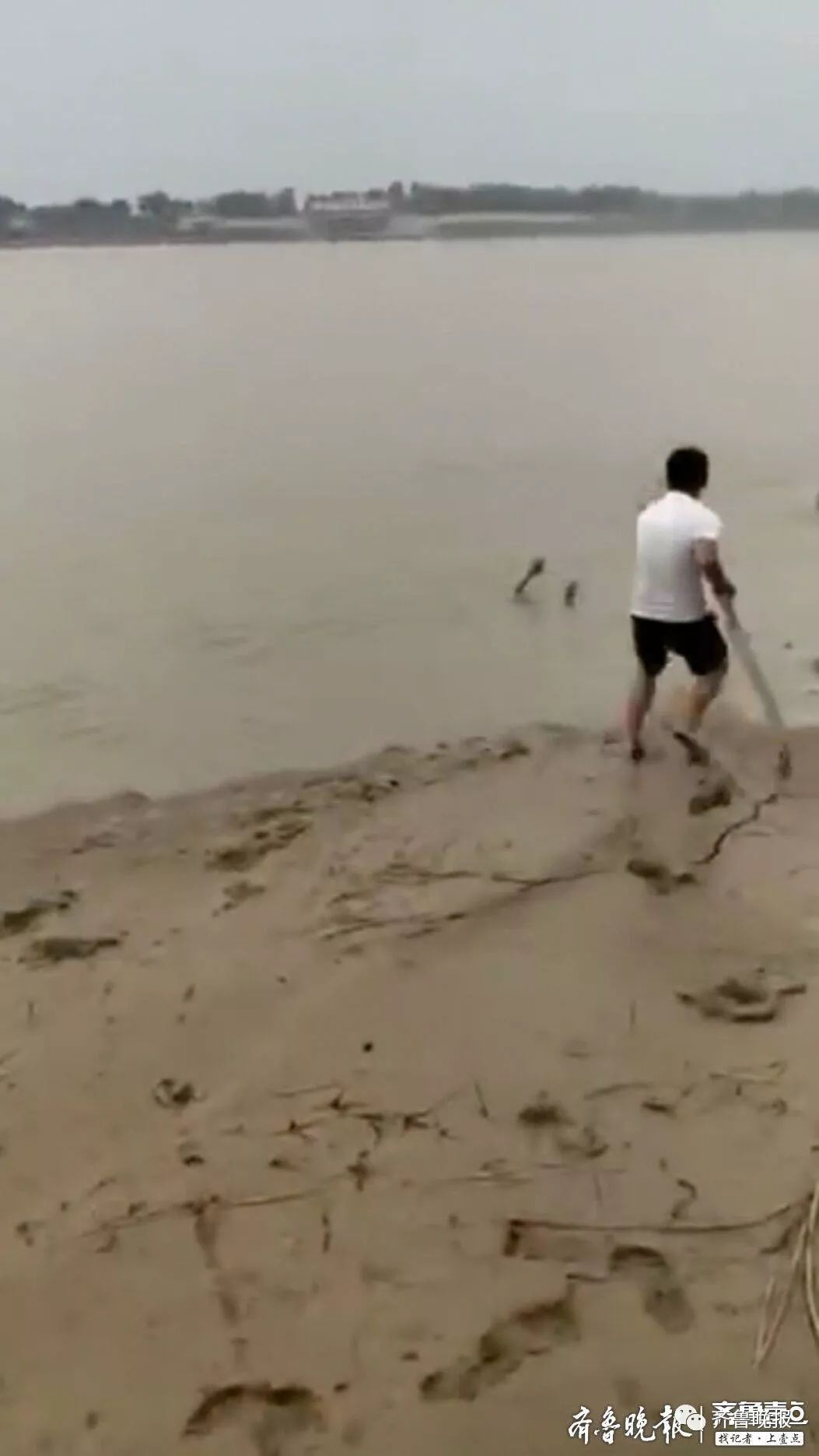 这个不会水的小伙，一下从水里救了3条命！