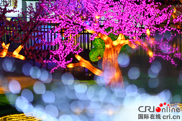 图片默认标题_fororder__DSC5509