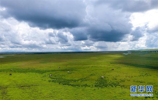 图片默认标题_fororder_J2-3