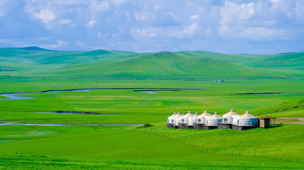 内蒙古：夏日草原美如画