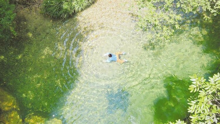 入夏以来，各地持续高温，避暑旅游正当时—— 来贵州，向森林要清凉_fororder_3