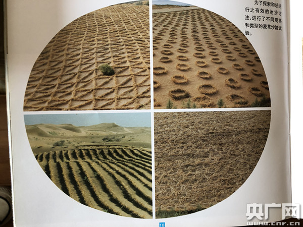 【奋斗的中国人】七旬治沙“愚公”张克智：穷尽半生 与“沙魔”